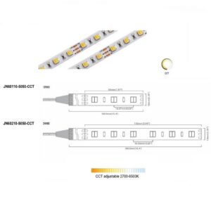 Dual White 2-in-1 60 LED/m | 5050 SMD 60LED/m 12V 12W/m 6500K