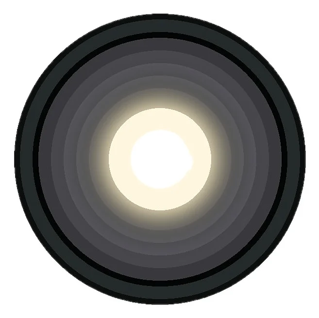 Downlights / Track